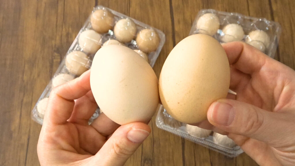 コストコの中部飼料たまごはコスパよし味よしの卵料理が楽しめます Tasty Time