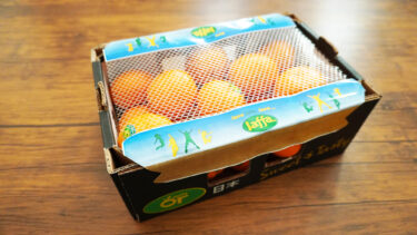 コストコのオアマンダリンオレンジは甘くて濃厚でリピート決定の美味しさ！